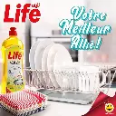 dsfzser.webp
