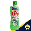 life13.webp