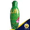 life19.webp
