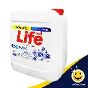 life24.webp