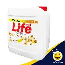 life23.webp