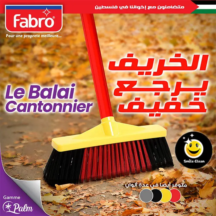 مكنسة ناعمة Balai Fabro (B2C) 