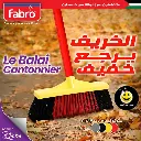 مكنسة ناعمة Balai Fabro (B2C) 