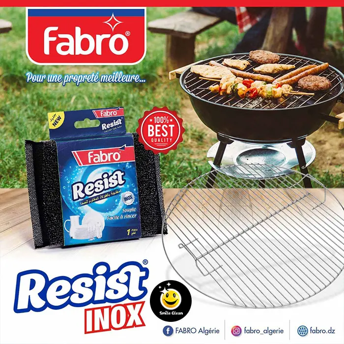 اسفنجة بالفولاذ المقاوم للصدأ Éponge Fabro 1PCS (B2C)